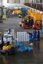 Fork lifts and holding tanks provided by Peace Winds Japan are being used at the newly reopened Ofunato fish market.