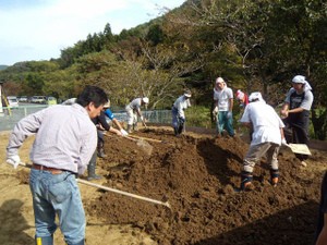 Volunteers help spread the soil, create furrows, and plant seeds on farmland in Otonari and Onagawa.